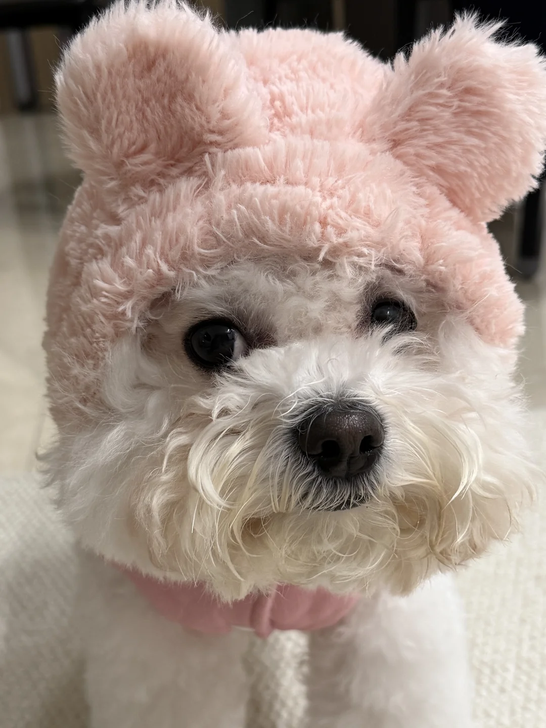 人 你看我怎么样