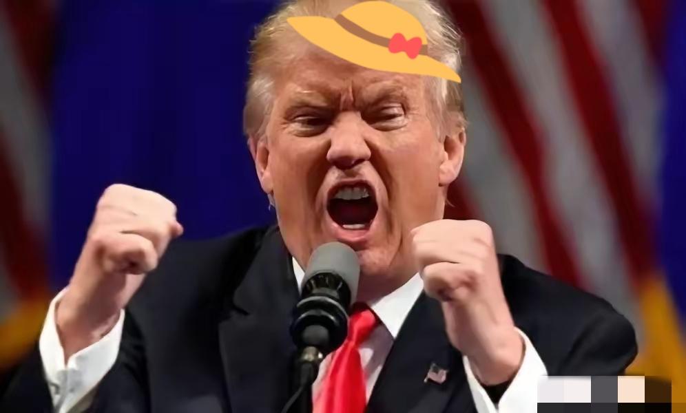 美国终于坐不住了，中国已向美方提出严正交涉，中国人民解放军已经做好备战准备。仔细