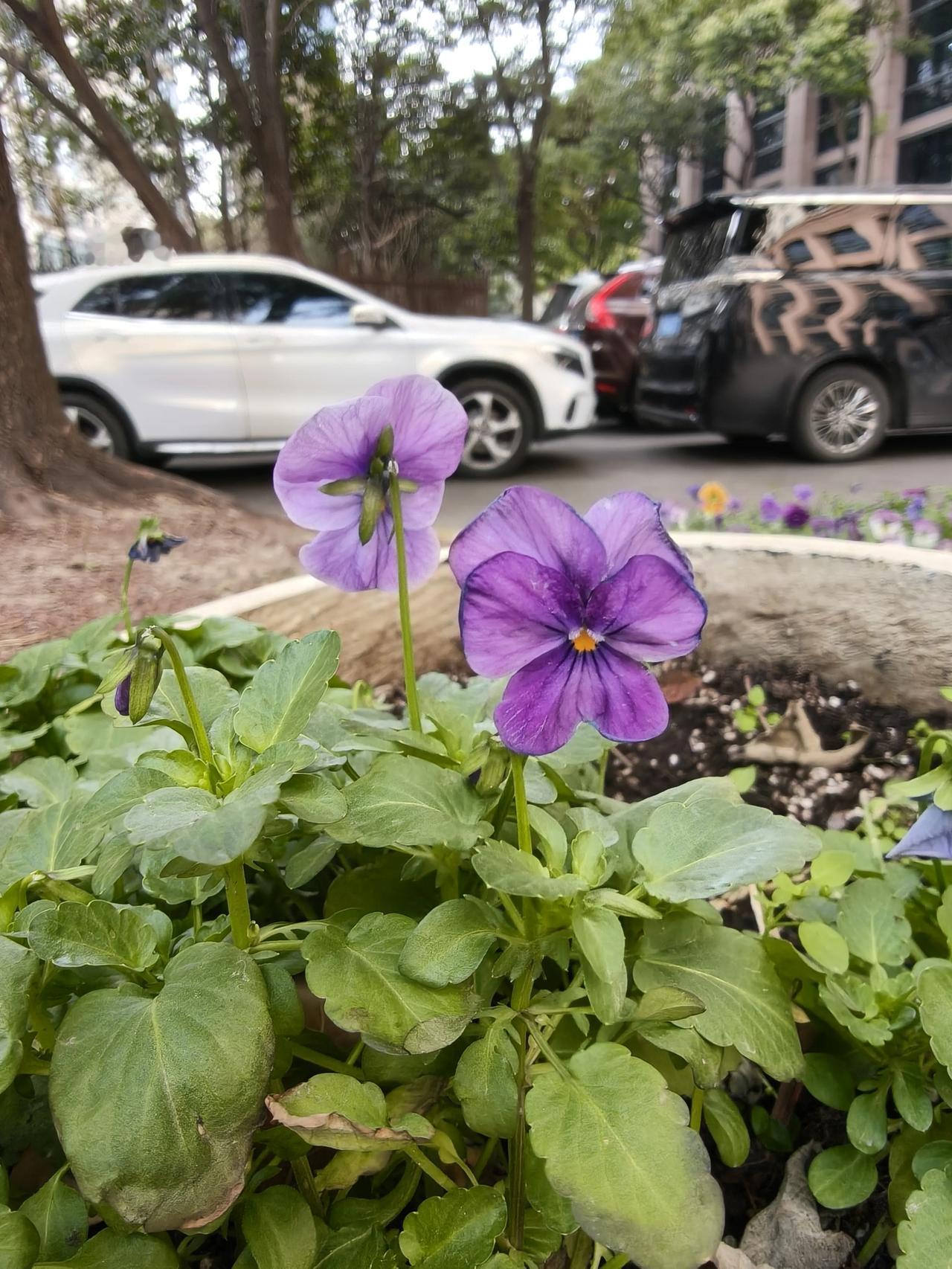 今天周四没想到工作挺忙的，大半天时间就这样过去了～这会儿不忙摸会儿鱼🐟

[偷