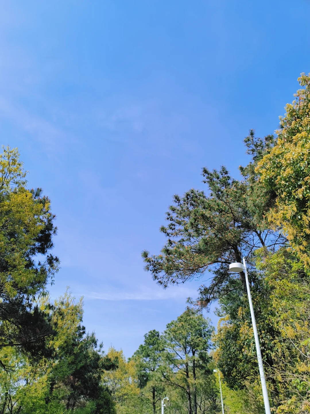 来谈谈让人惊喜的总账会计是什么样的？