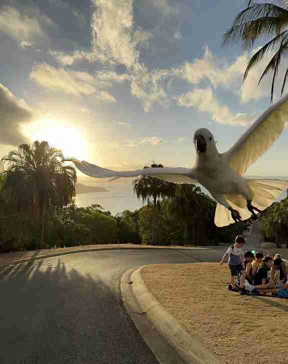 我的今日状态：💰期待暴富
我这里的天气：🍂微风