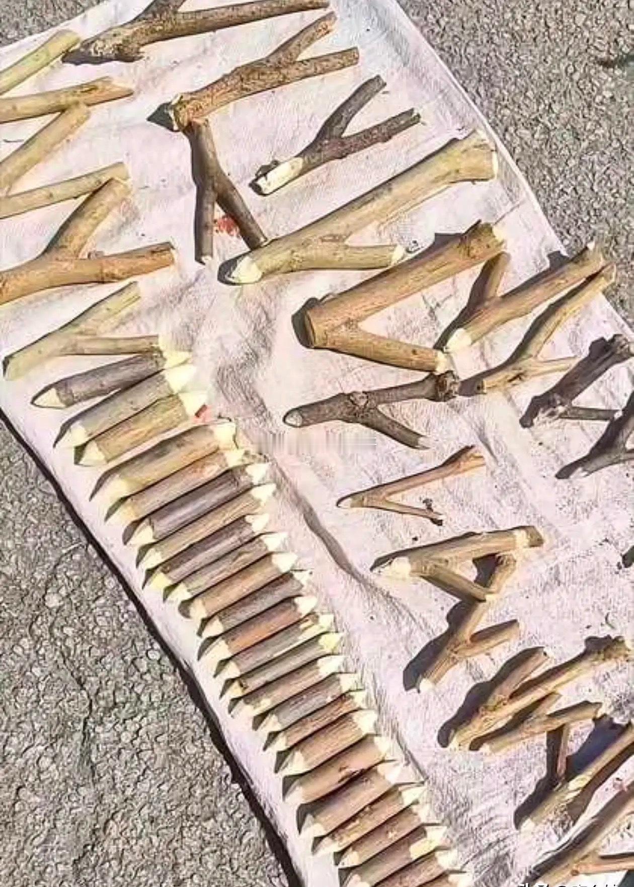 这个小木棍的受众群体是谁呀？真的卖的出去吗？ 