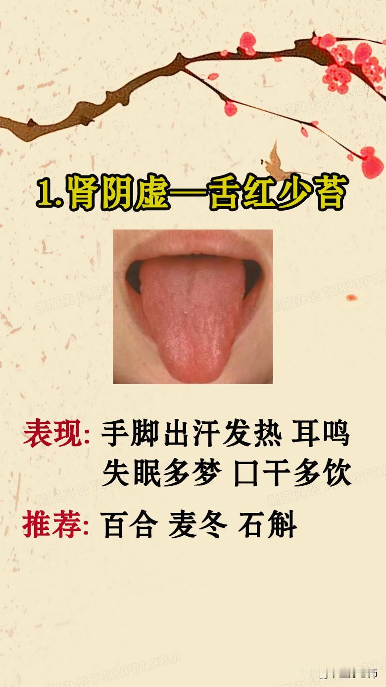 身体4大虚的舌象