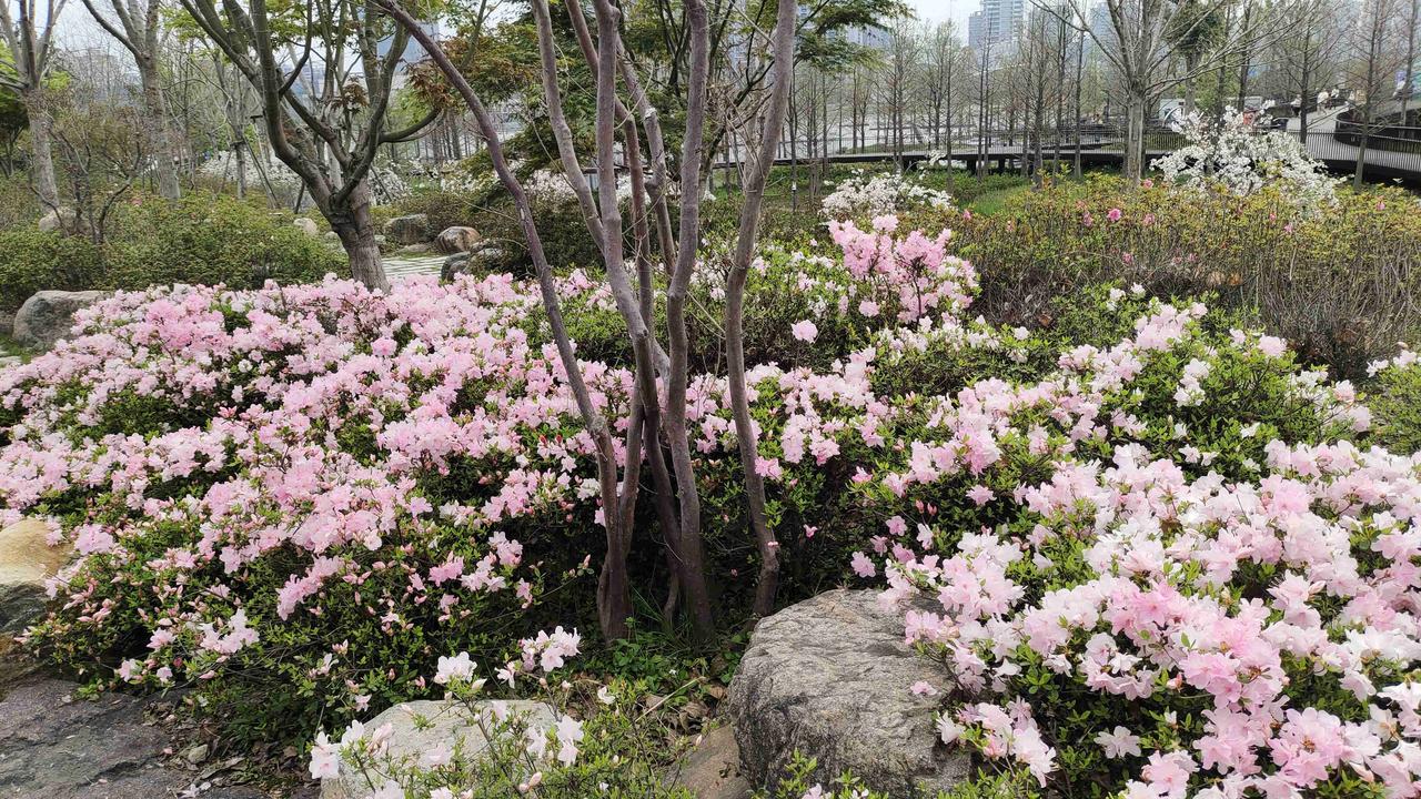 我的今日状态：😁轻松愉快
我这里的天气：☀️晴天