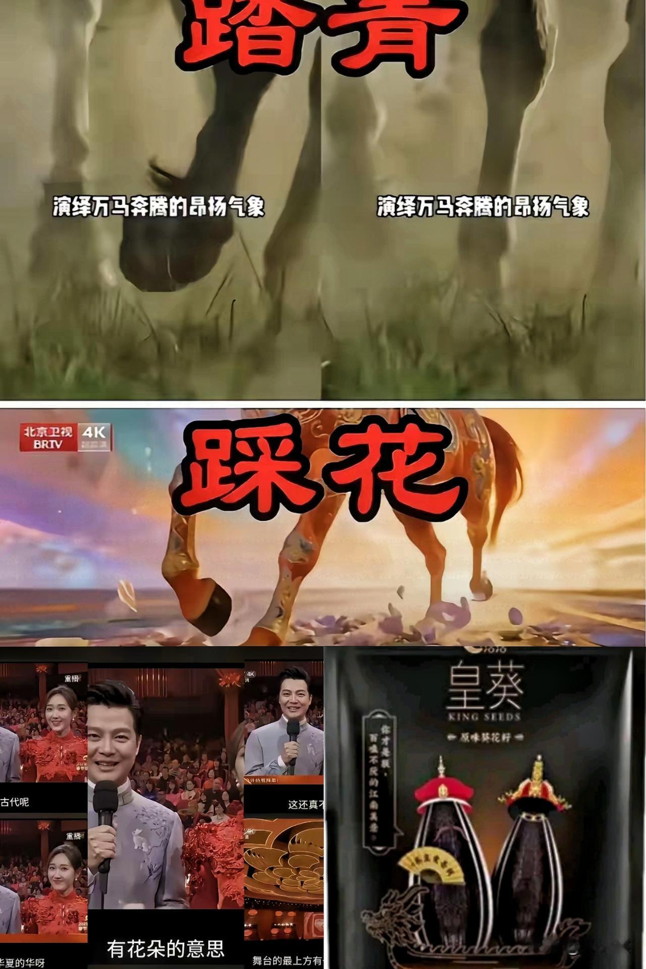 这一对比
​真是离谱到家了！
我是看不懂了，河南卫视那个“万马踏青”多提气啊，正