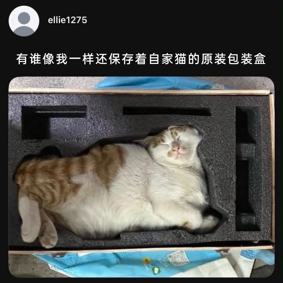 严丝合缝 ​​​