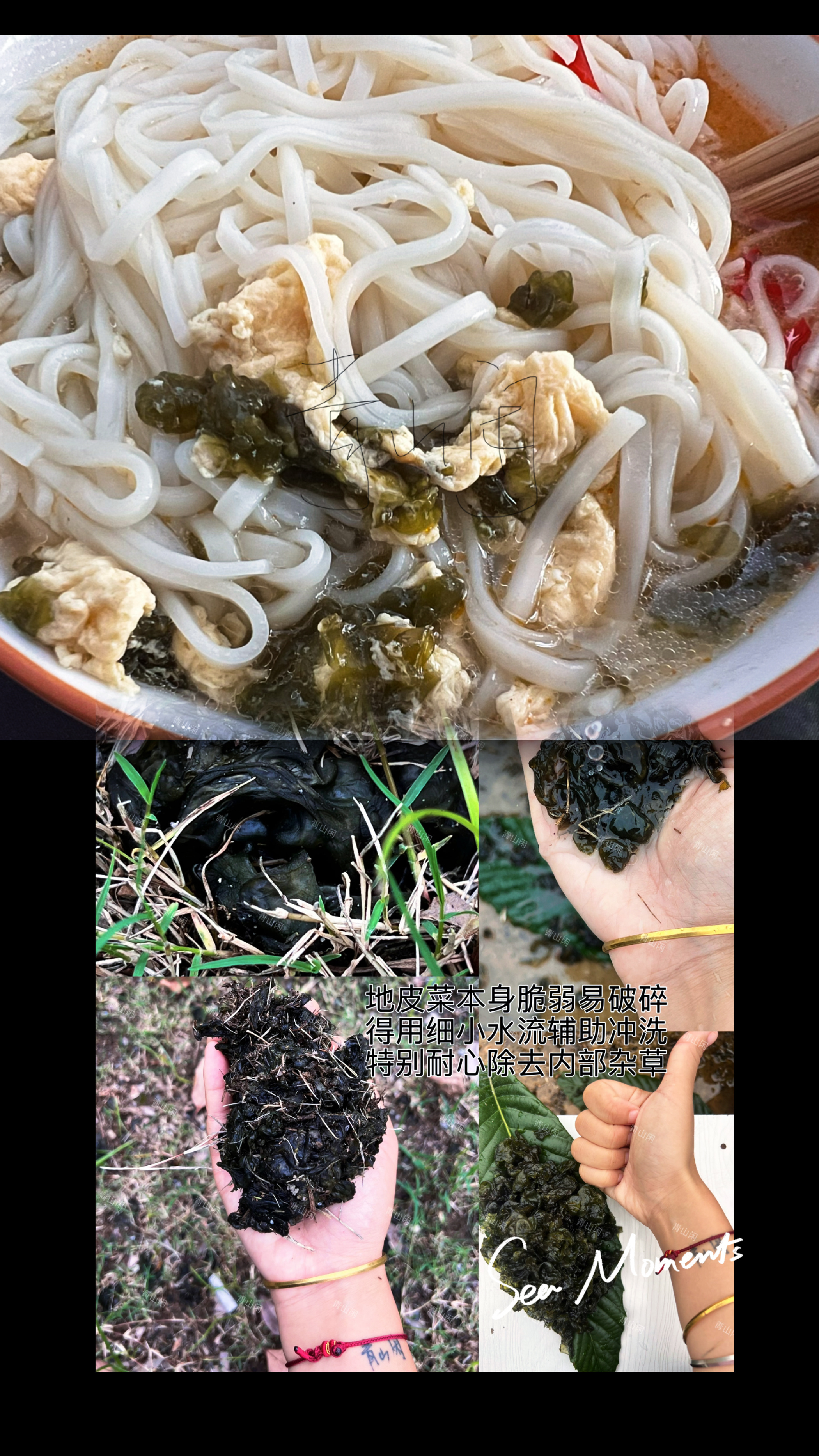 嘿嘿人生不怕麻烦生活就有更多滋味 昨天我在单位门口山中草地发现了梅雨季长出的野味