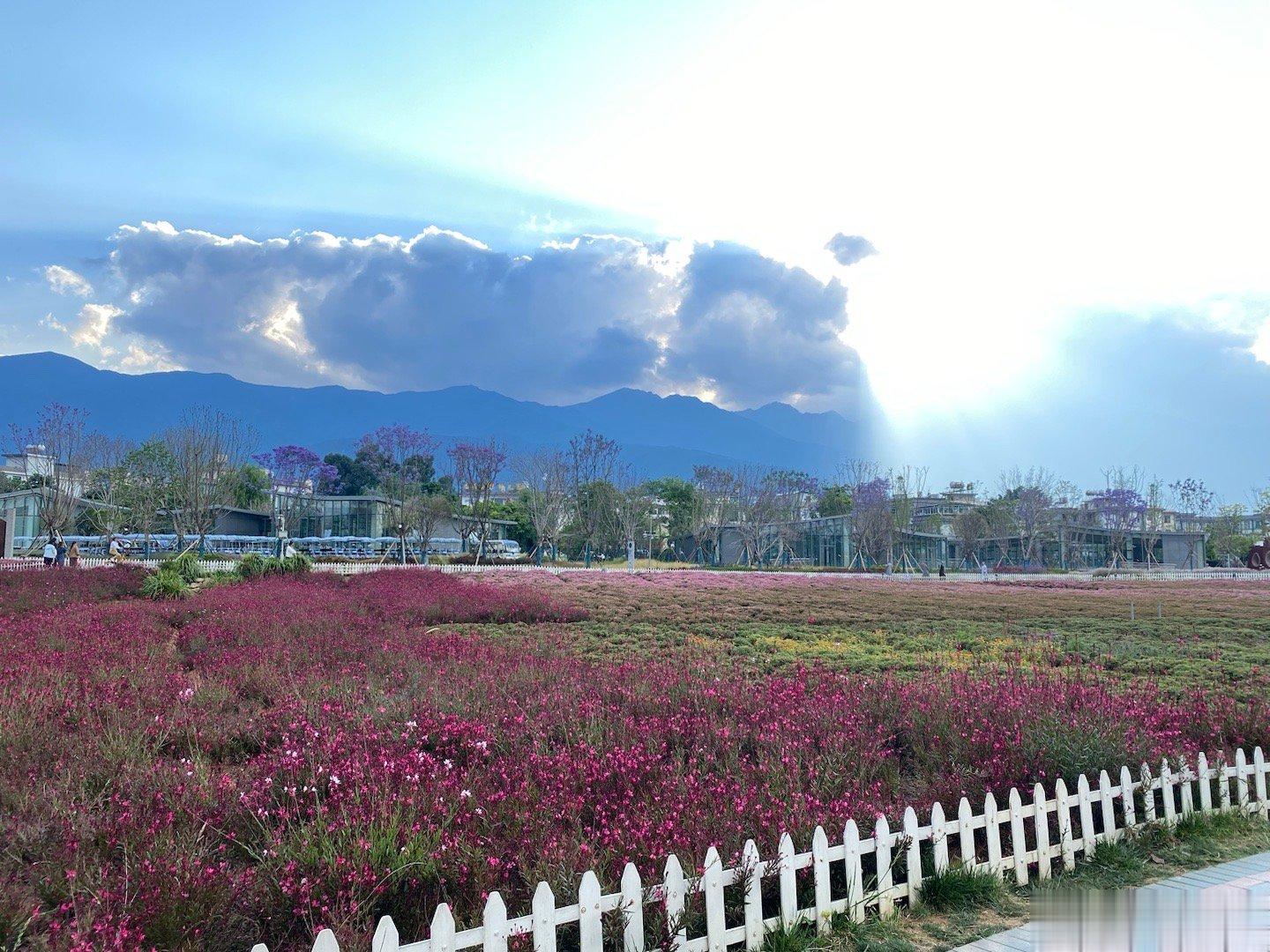 #旅游[超话]# 四月底的洱海边。#带着微博去旅行#  ​​​