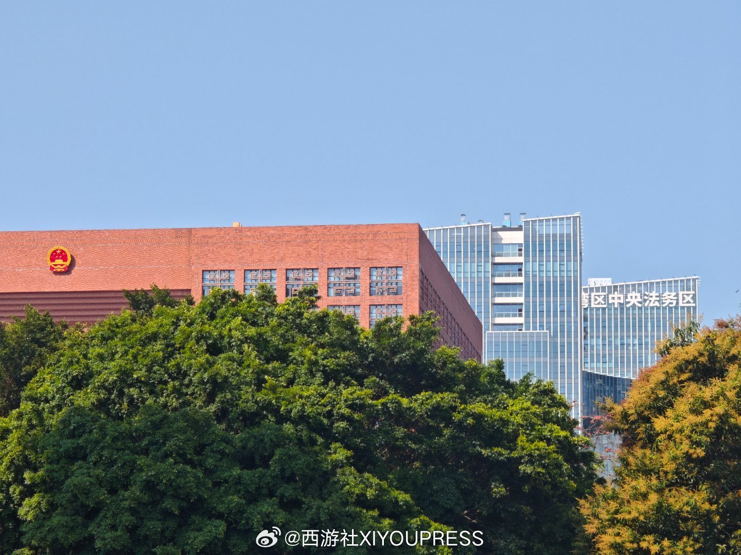 粤港澳大湾区 法律只为懂法的人服务 