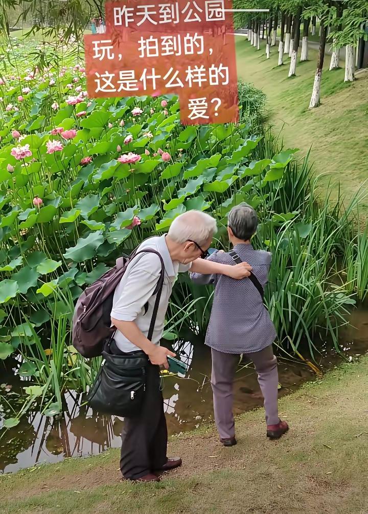 能相伴一生的人，老伴在池塘边拍照时，他轻轻拉住她的背包带，一切都如此自然，那藏于