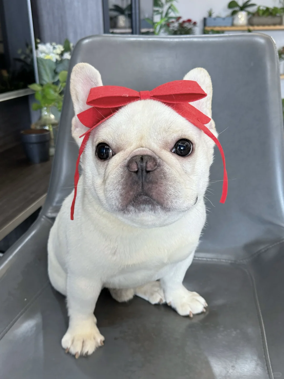 不玻璃心，请问我家宝宝可以做童模吗？