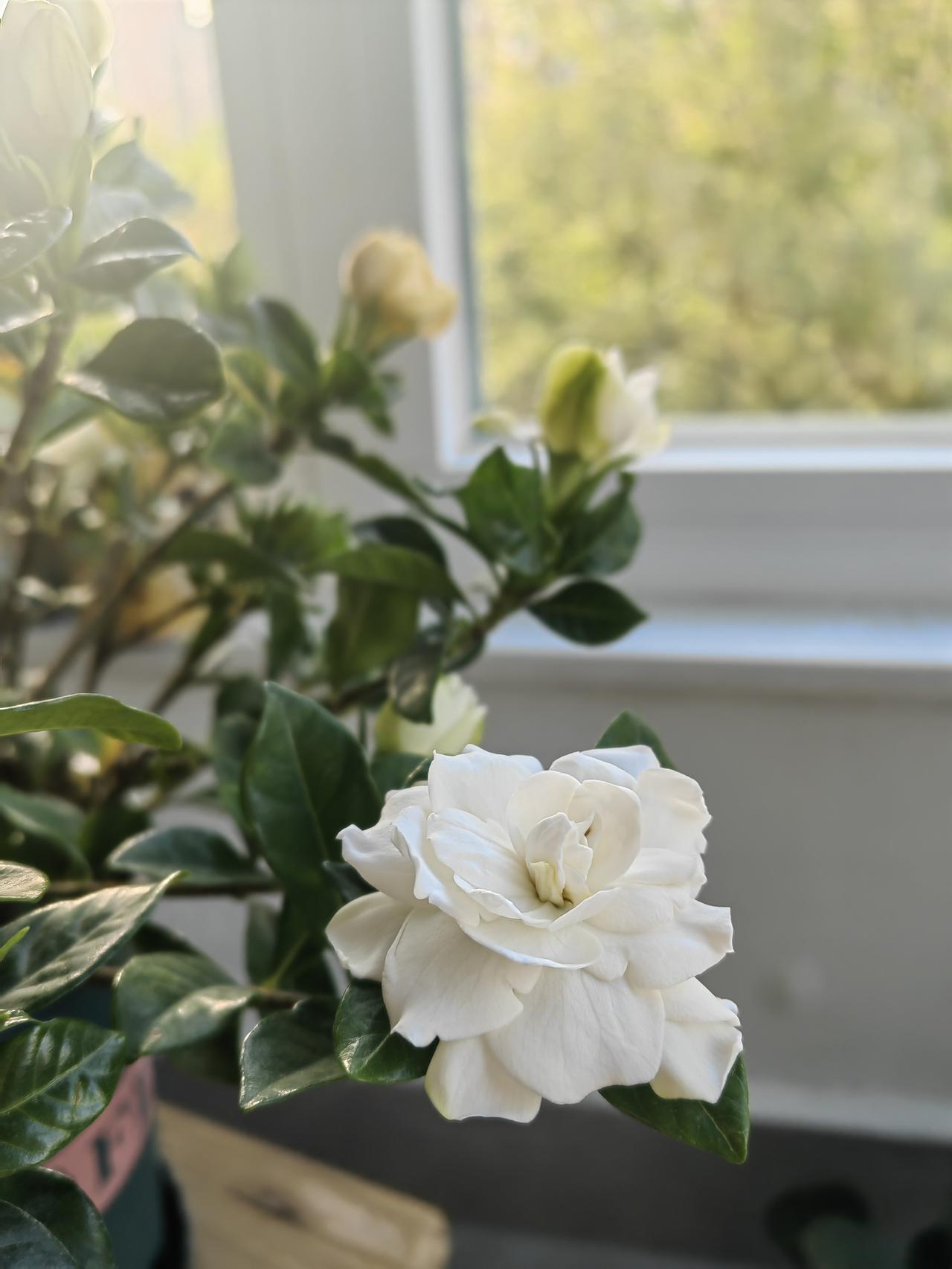 有时想急性子的人，也有他急性子好的一面，干什么事都讲究速度和效率。

今早起来，