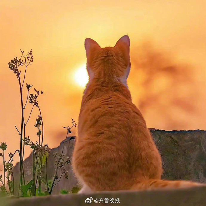 #早安# 世界那么大，你总会遇见一个对的人，让你放下所有愤怒和不安。 ​​​