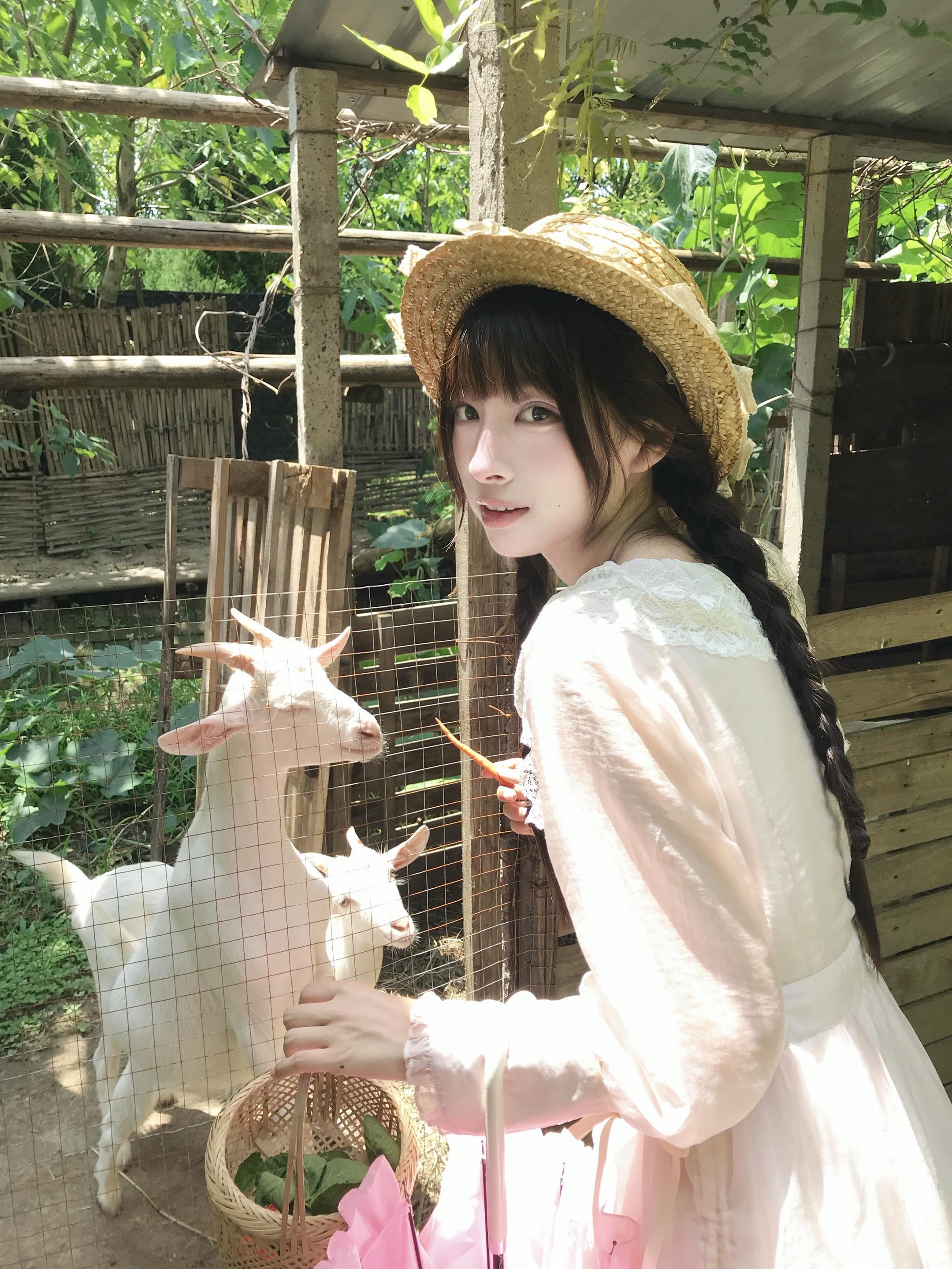 寻找牧羊少女。