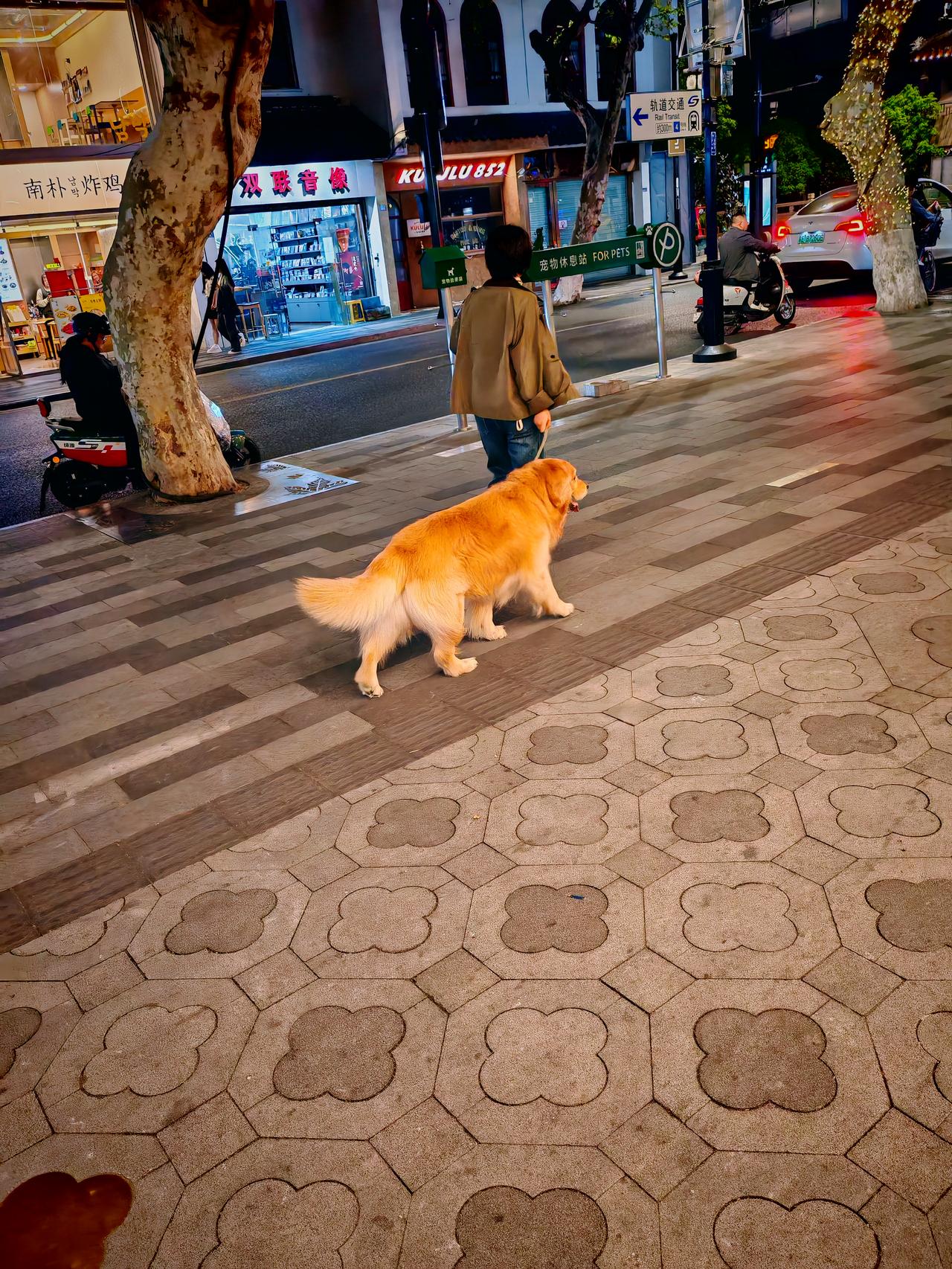 苏州公共场所就该禁止遛狗！如今苏州养狗的人越来越多，可有些人实在让人齿冷，简直枉