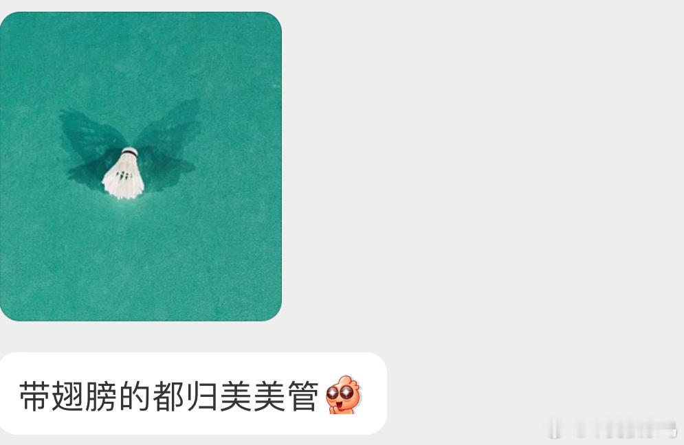 太妙了吧羽毛球🏸也有隐形的翅膀 ​​​