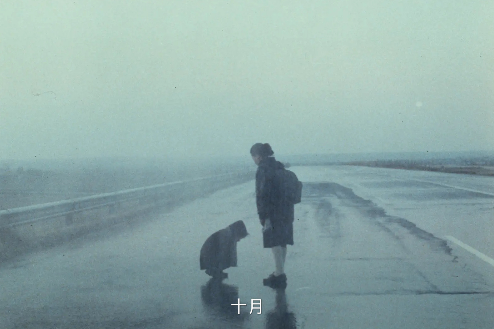 分享图片 ​​​
