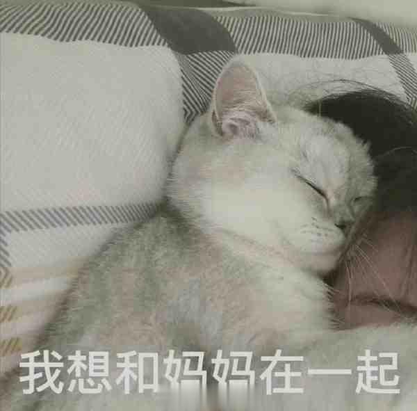 我妈昨晚和我打语音电话，给我说了一件事。前天她去澡堂洗澡，看到了一个很胖很胖的女