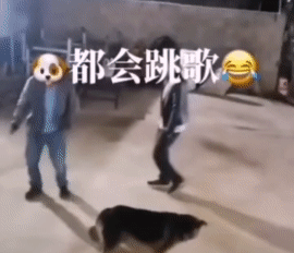 精神小狗 #惊人的舞姿# #跳一把舞#