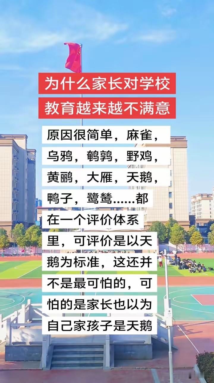 为什么家长对学校教育越来越不满意？这是我见过一个最完美的答案，总结的太精辟太到位