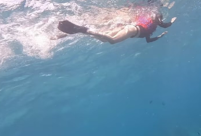 关晓彤又去潜水了，之后通过 ins 晒出潜水照，照片里满是她享受潜水的感觉，也让