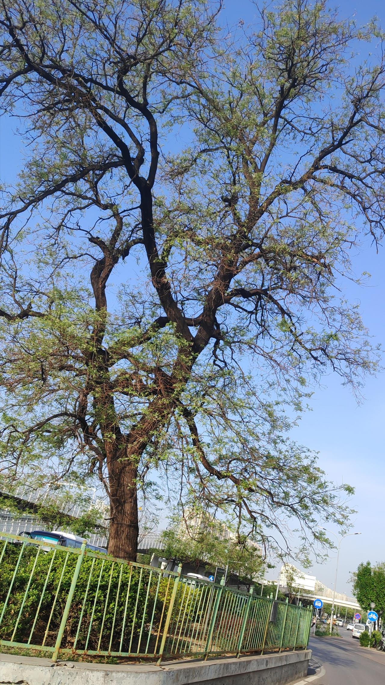 职场中，感恩是一种智慧。

小故事：部门经理老李每次项目成功后，都会公开感谢团队