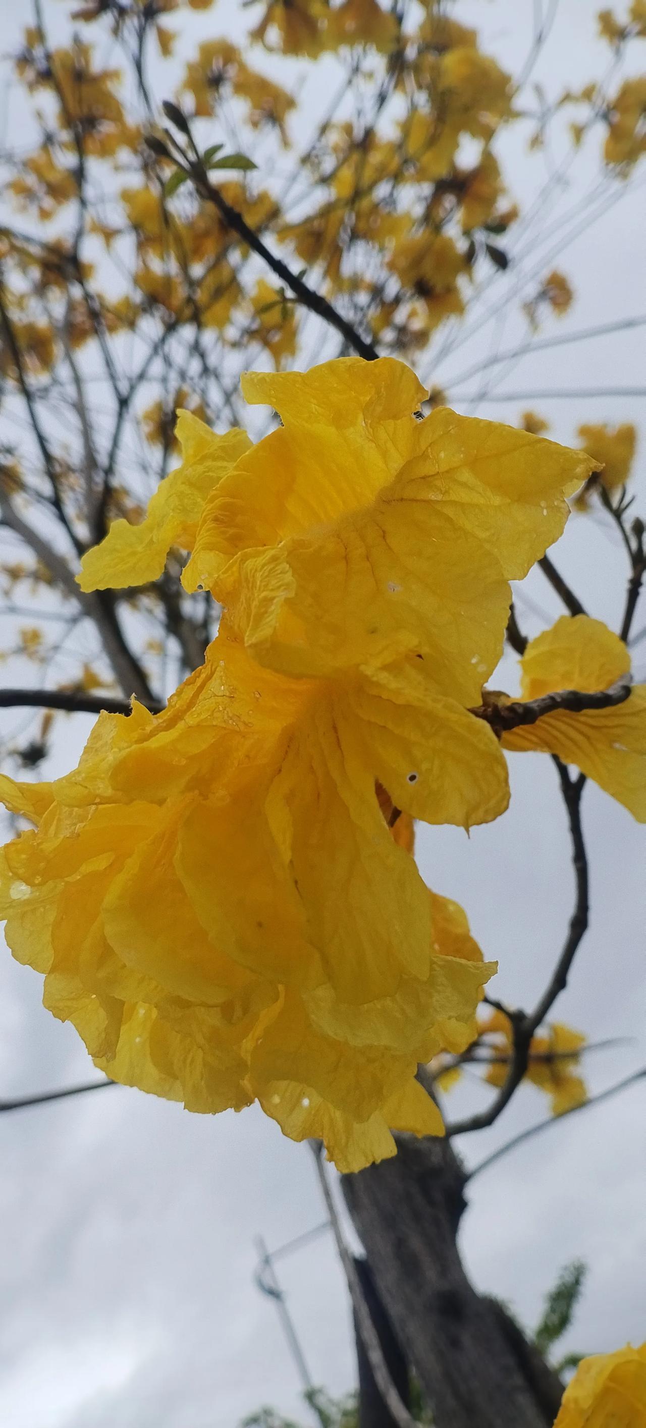 深圳严控加班，大城市都要走这一步了，不管是出于什么原因，全国都在响应国家号召，提