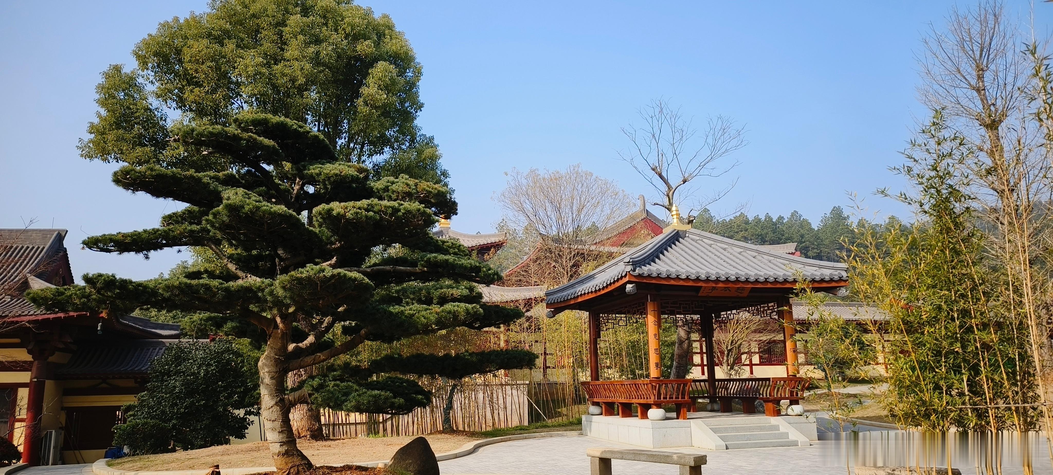 江西九江  庐山市​东林大佛景区（三） ​​​