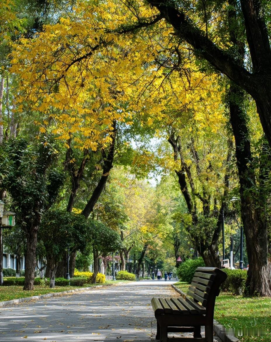 雨是留不住的，梦终究会醒，人总要学会和无法挽留的风景道别，不让一朵落花的伤感遮住