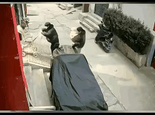报应，损人不利己，自己害自己！

一名女子抱着小孩进自己的房子时，上坡时往后面摔
