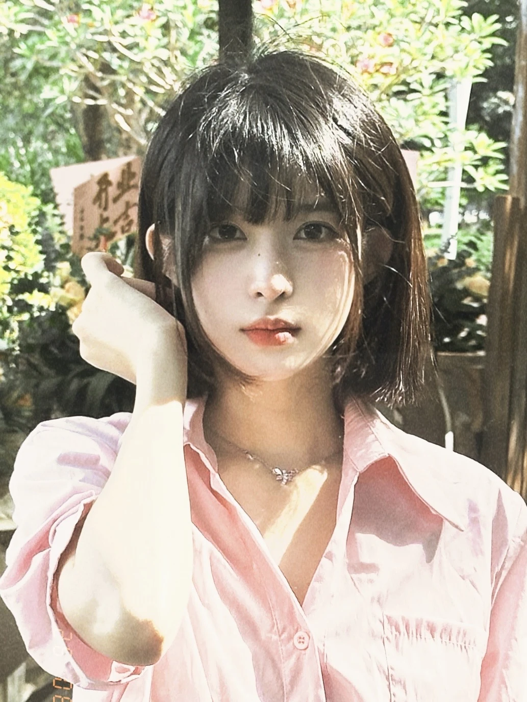 夏日来信✉️