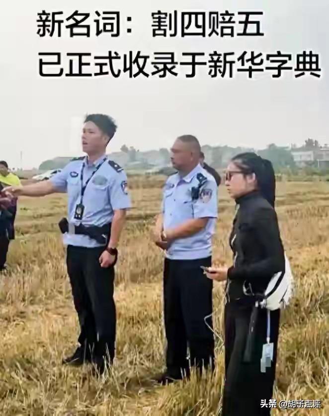 后序来了！河南05后小夫妻已返回河南，继续投入到夏粮抢收的大军中，多地农业合作社