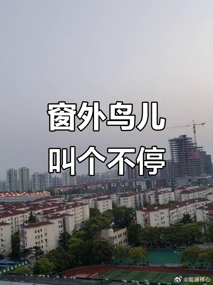 凌晨四点即开场，叽叽喳喳叫得响。扰人清梦罪过大，文明礼貌全不讲。庆幸和谐社会吧，