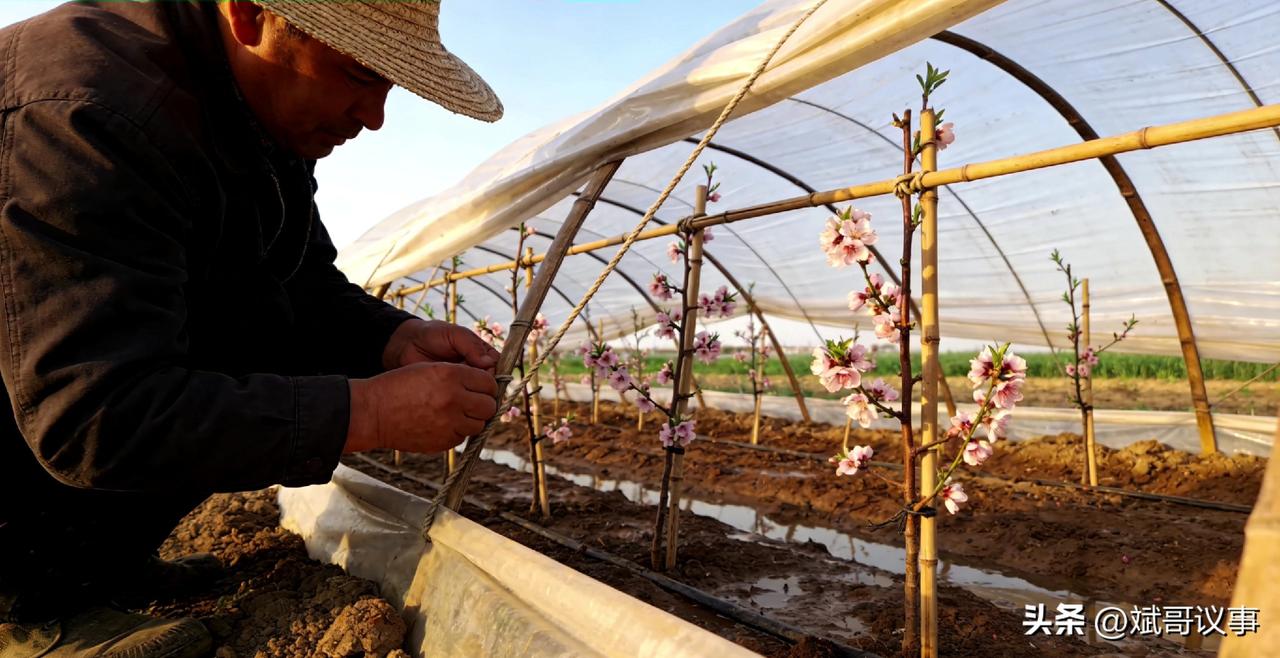 紧急提醒！山东明天下午雷雨+9级大风+局部冰雹，清明出门的注意了

刚刚省气象台