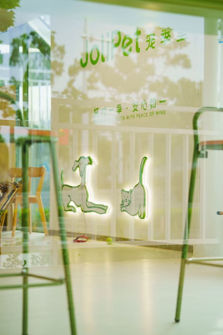 伸手体验宠物寄养︱2024年武汉宠季里