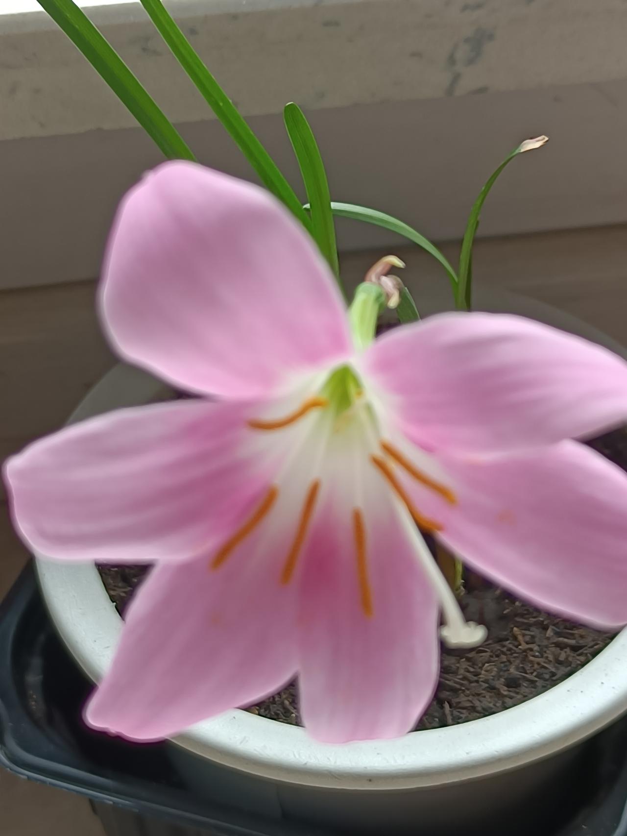 人生，过得不是日子，而是心境；生活，活的不是境遇，而是心态。

我们终其一生所求