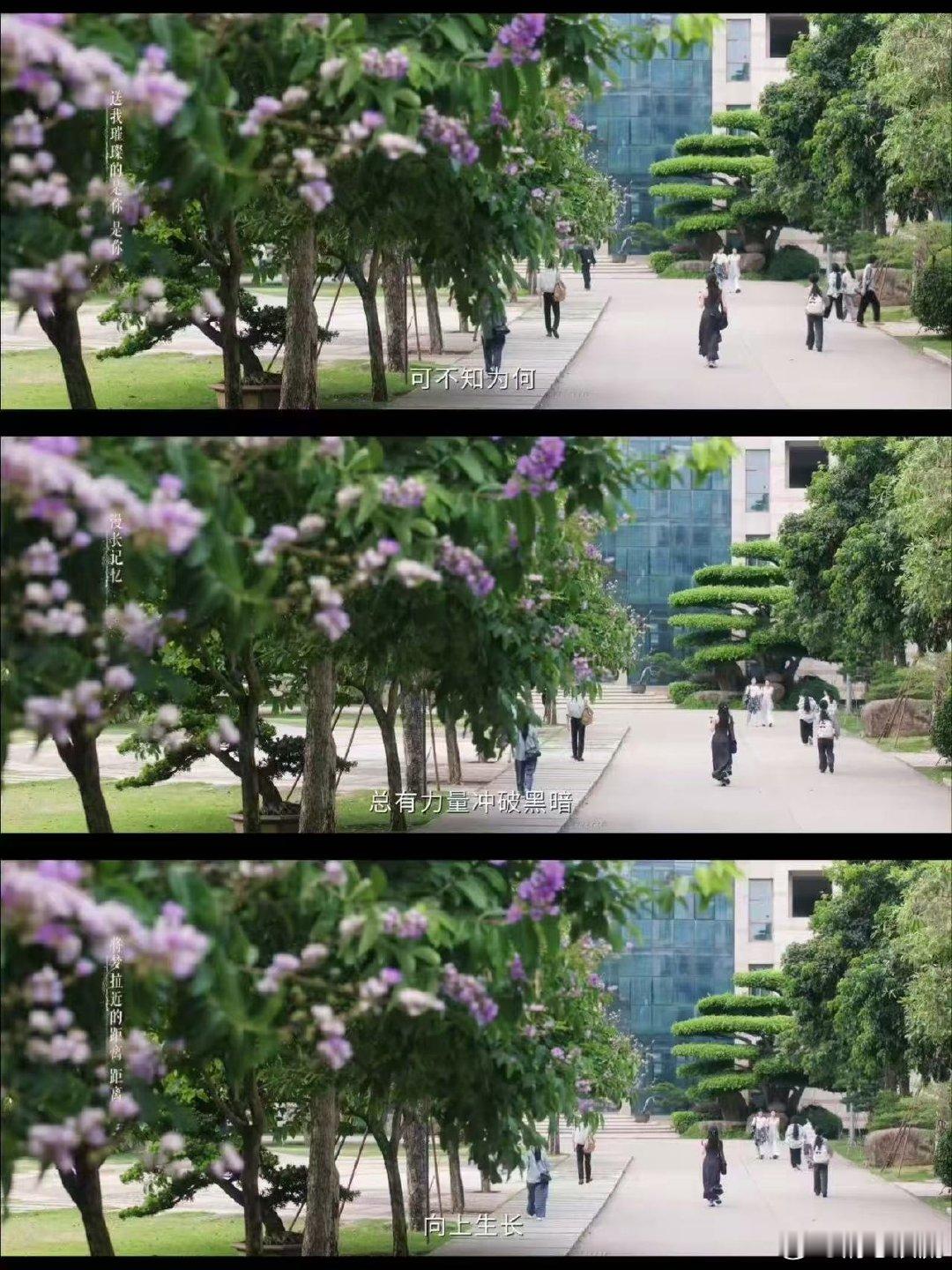 虞书欣林晚星独白片段造谣者仅凭一句闲话就能随意否定女性的全部人生，漫长的维权路让
