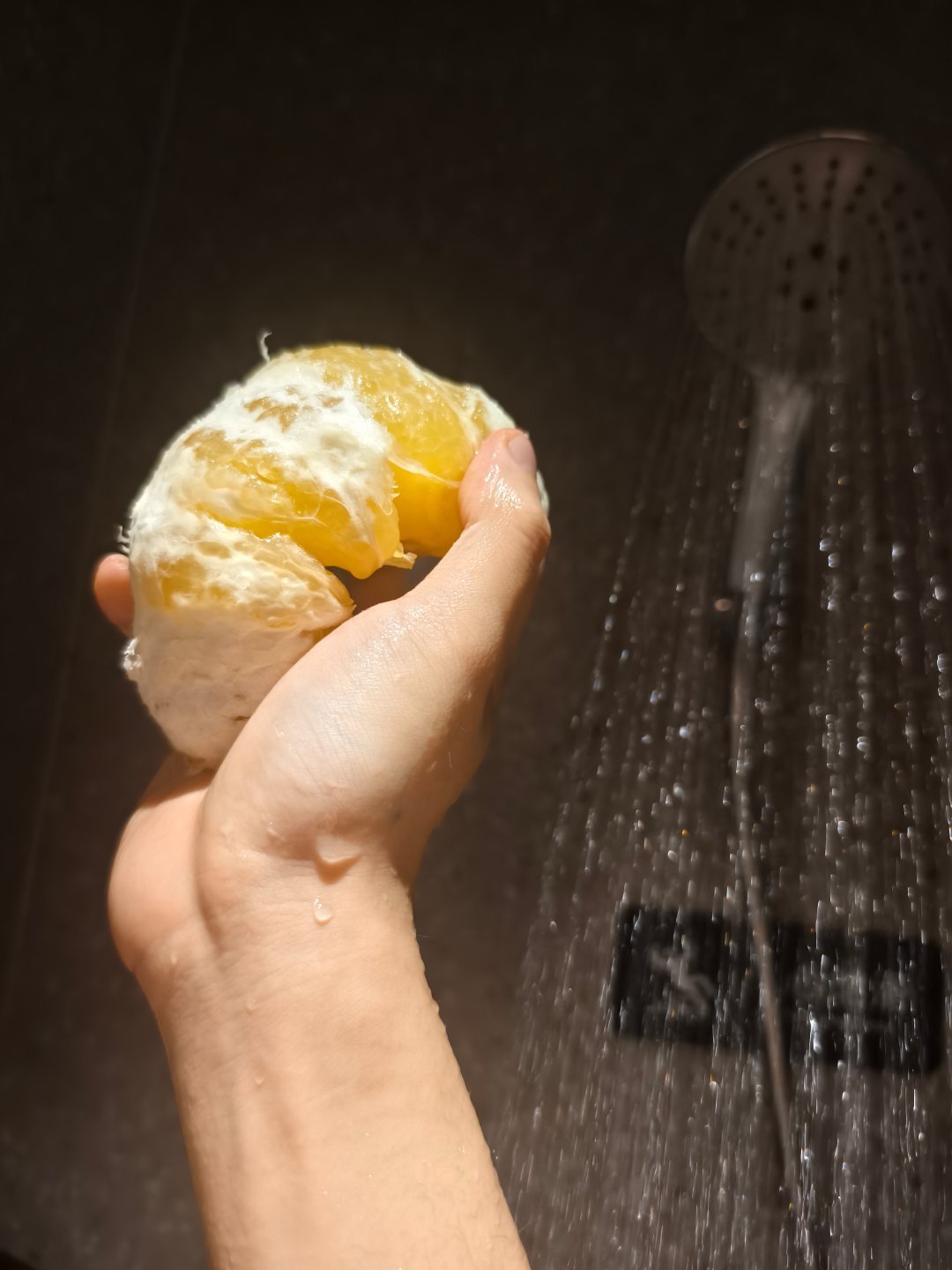 来自本人生活的无意义备菜图片十八则。 