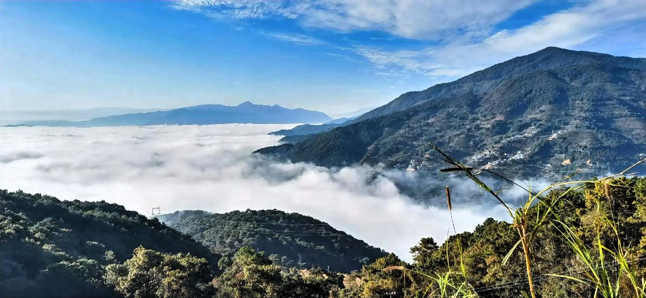云海之上，山峦叠翠，人间仙境站在这如诗画卷前，我忍不住按下快门，将这份震撼定格。
