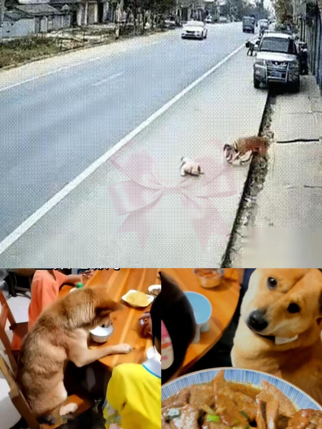 我敢说，这监控要是没拍到，这狗就算有十张嘴也说不清！
 
你想啊，孩子突然往车轮