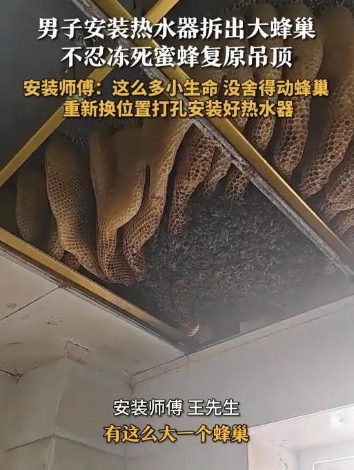 江苏，一居民家中要装热水器，谁知，当安装师傅拆开厨房吊顶后，却发现里面有个超大型