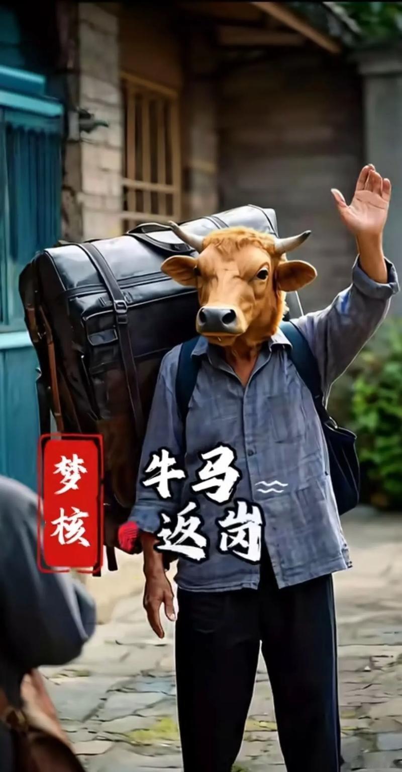 如果施罗德缺阵，球队缺少足够的持球发启人，姚曳感觉哈登大几率带伤复出，然而看了活