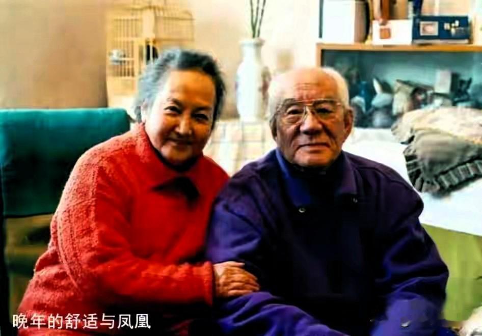 40年深情敌不过房产证？凤凰晚年遭继女起诉，舒适去世后家产风波始末

谁能想到，