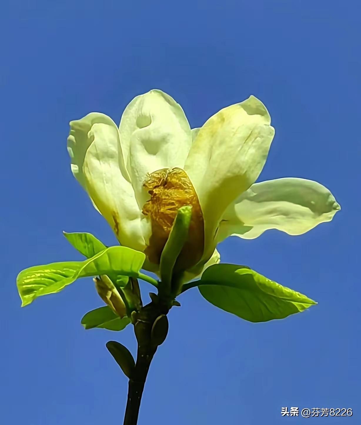 五招减压方式
 
一、5分钟快速减压
 
- 深呼吸：4秒吸气→7秒屏息→8秒呼