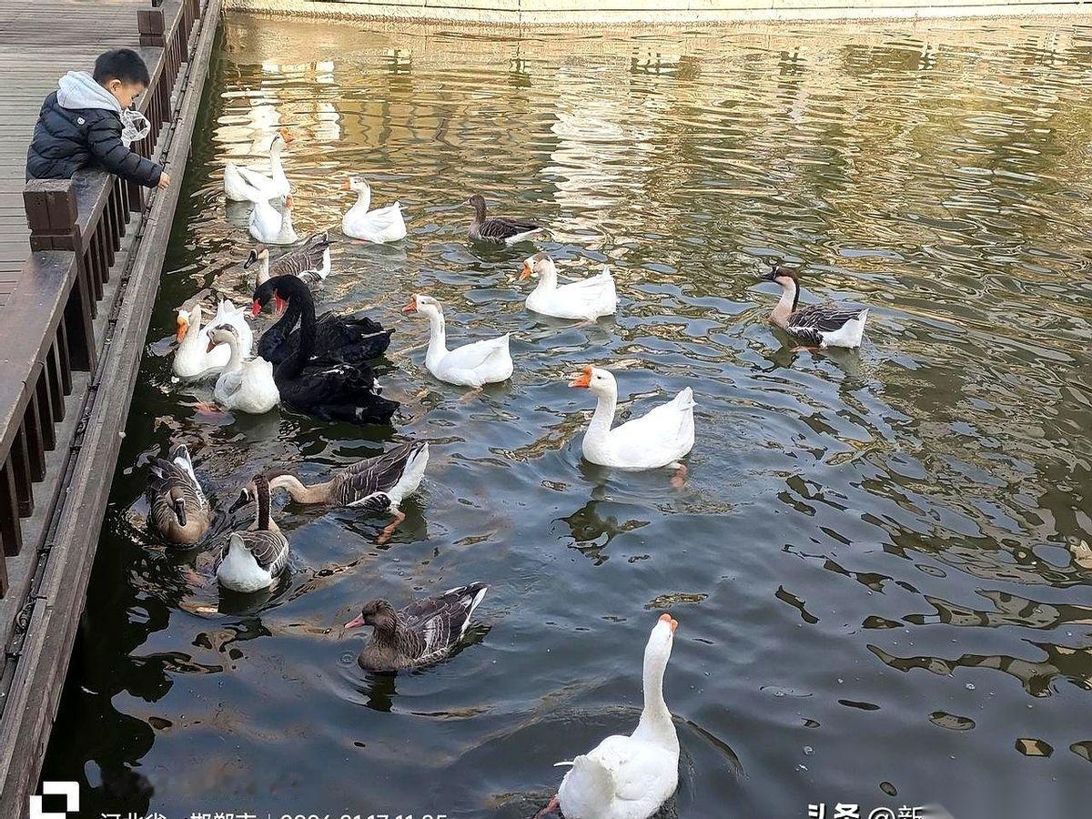 一纸调令，把他从卫健委派到医院当书记，名义上的一把手。
结果呢？
人到了，权力没