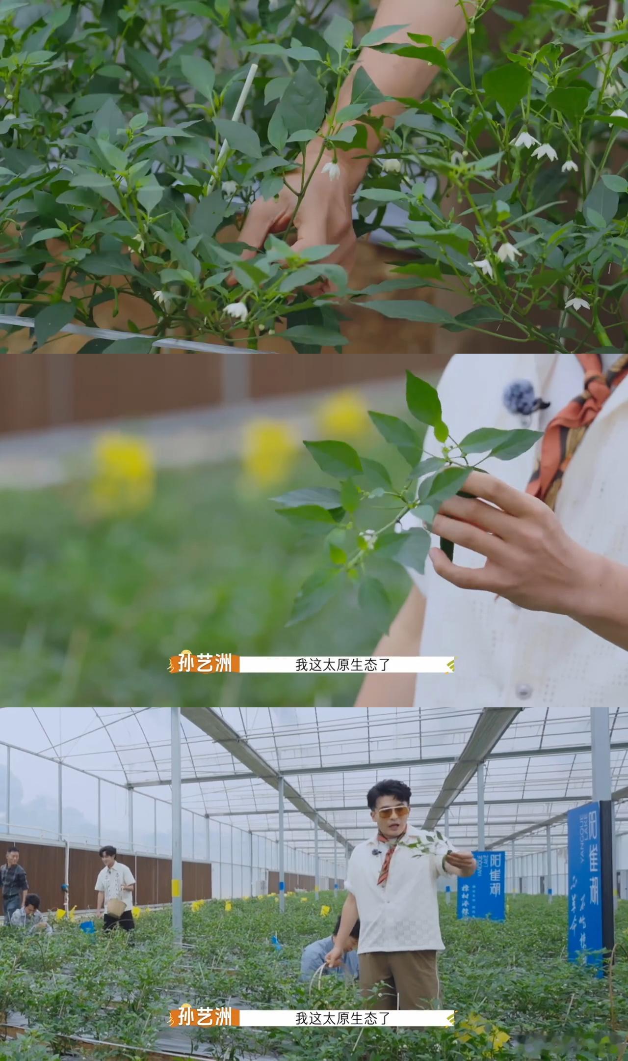 杨迪的公关速度有多快非来不可 杨迪的公关操作太上头！孙艺洲闯祸后，他光速接梗 “