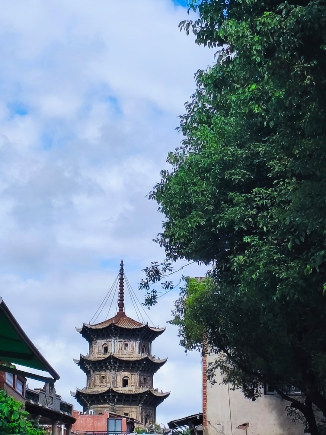 要在缱绻不尽的爱意里勇敢地生活 ​​​