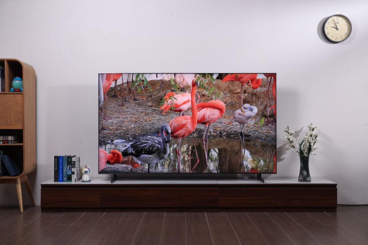 为了换SQD-Mini LED电视，跟家人磨破嘴皮子三天！说说我坚持买Q10M的