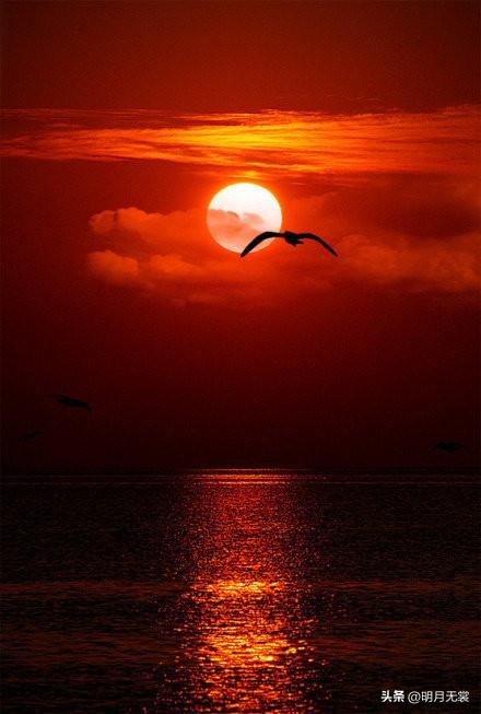 天南地北大拜年