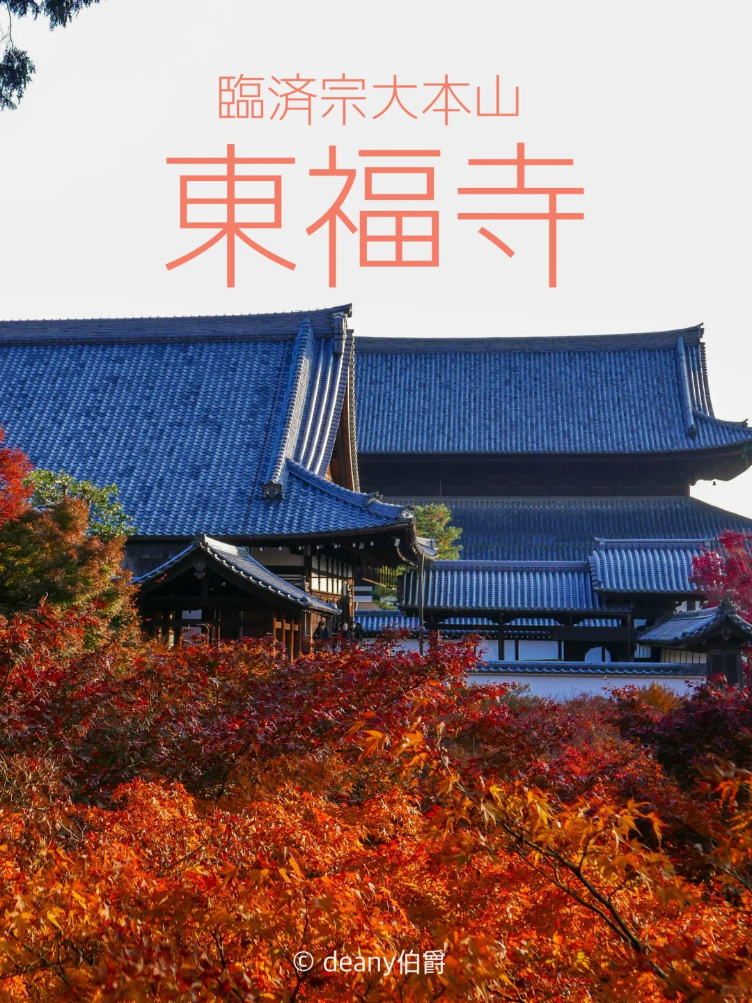 京都红叶🍁东福寺